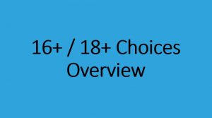 16+ / 18+ Choices Overview 1 Pager