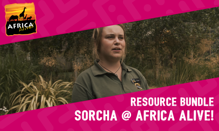 Resource Bundle: Zookeeper @ Africa Alive!
