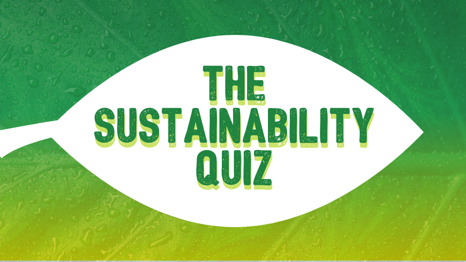 The Sustainability Quiz