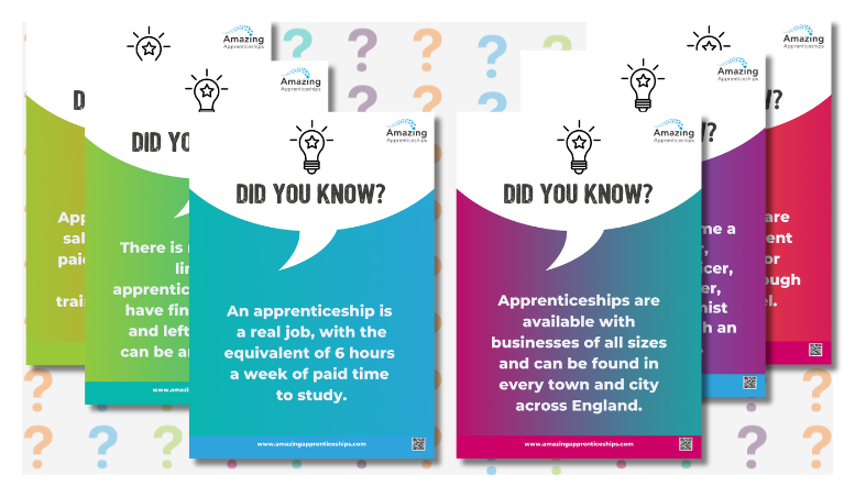 Apprenticeship Facts Staffroom Poster Bundle