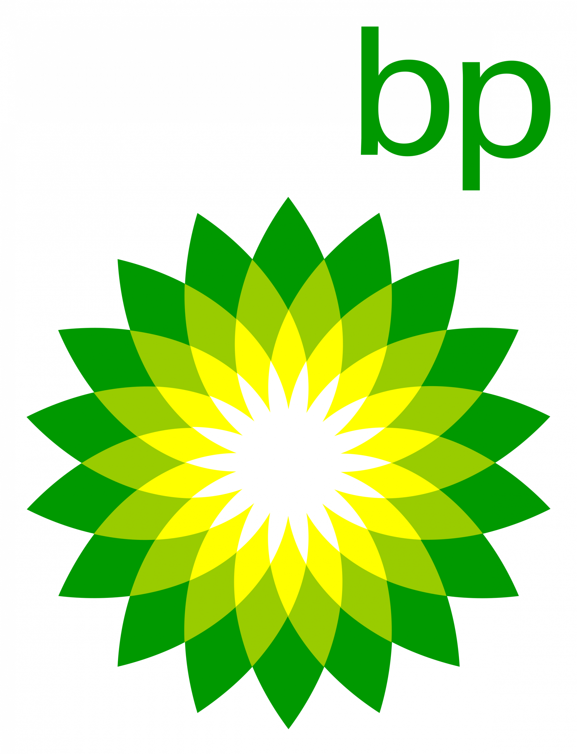 bp-vacancy-snapshot