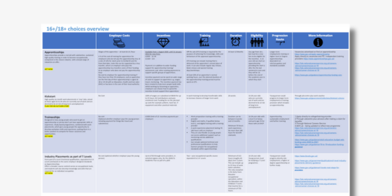 School Workforce 16+/18+ Choices Overview 1 Pager