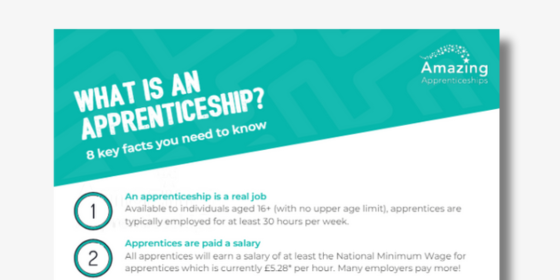 Rapid Read: What is an apprenticeship?