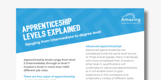 Rapid Read: Apprenticeship levels explained