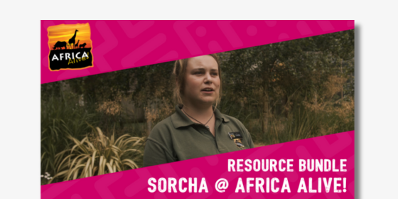 Sorcha @ Africa Alive! Resource Bundle