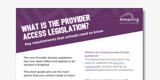 Rapid Read: What is the provider access legislation?