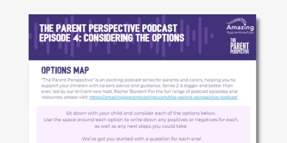 Options Map for The Parent Perspective Podcast Episode 4