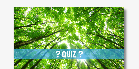 The Sustainability Quiz