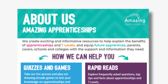 About Amazing Apprenticeships Flyer