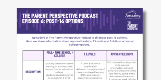 Post-16 Options resource for The Parent Perspective Podcast S3 E6