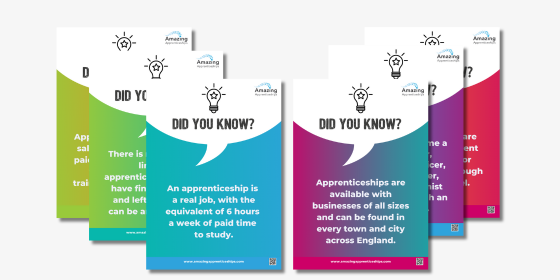 Did You Know Apprenticeship Facts Poster Bundle