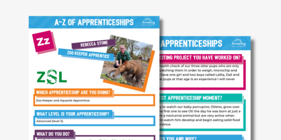 Zoo Keeper Apprentice Case Study