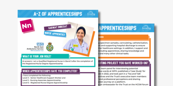 Nurse Apprentice Case Study