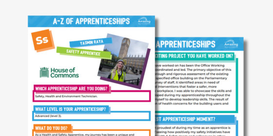 Safety Apprentice Case Study