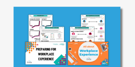 All About Workplace Experience Bundle