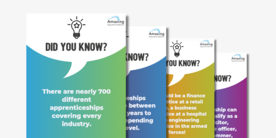 Did You Know Apprenticeship Facts Poster Bundle