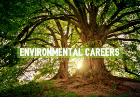 Environmental Careers