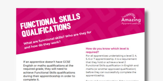 Rapid Read: Functional Skills Qualifications